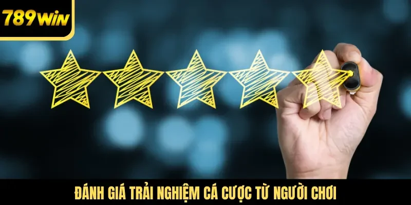 Đánh giá trải nghiệm cá cược từ người chơi