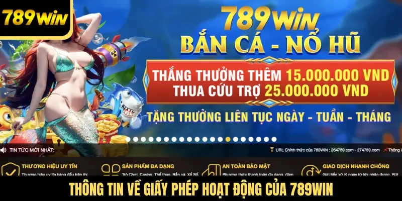 Thông tin về giấy phép hoạt động của 789WIN